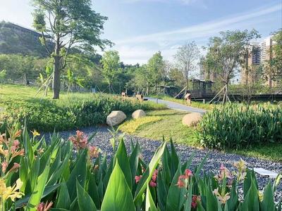 集生態(tài)種植、科普體驗(yàn)、觀光游樂于一體 西麗生態(tài)公園打造兒童友好游學(xué)新路徑