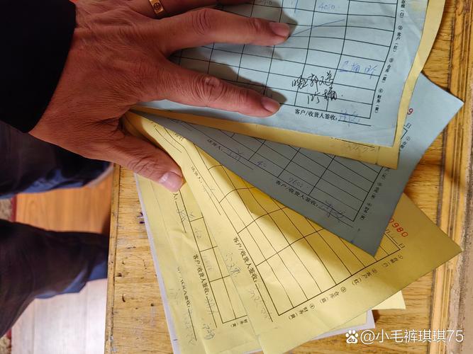 大家好,我是蘇州人駢森,在鴻雁工程精神的引領下于